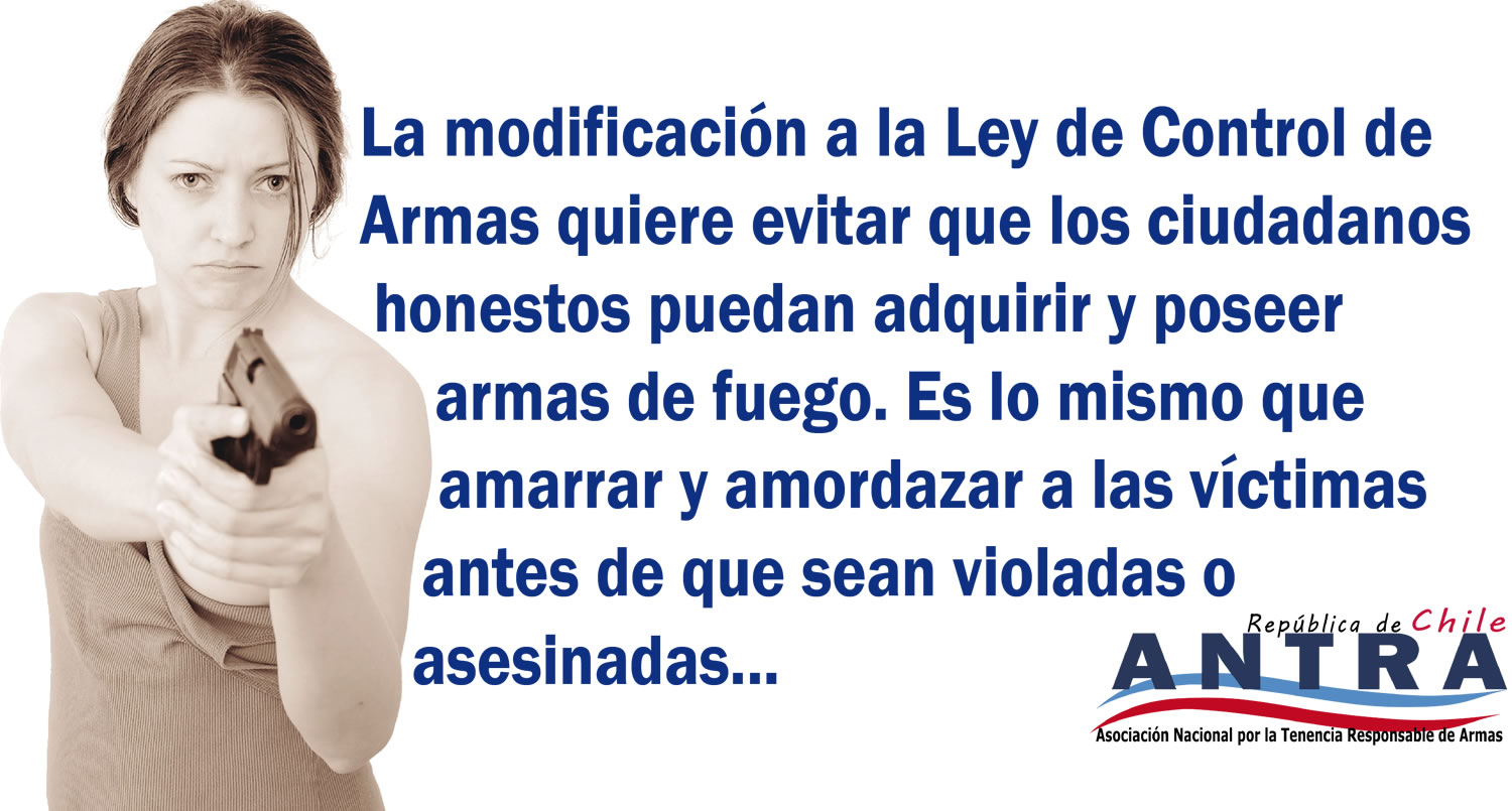 Nueva Ley de Control de Armas, más de lo mismo Asociación Nacional